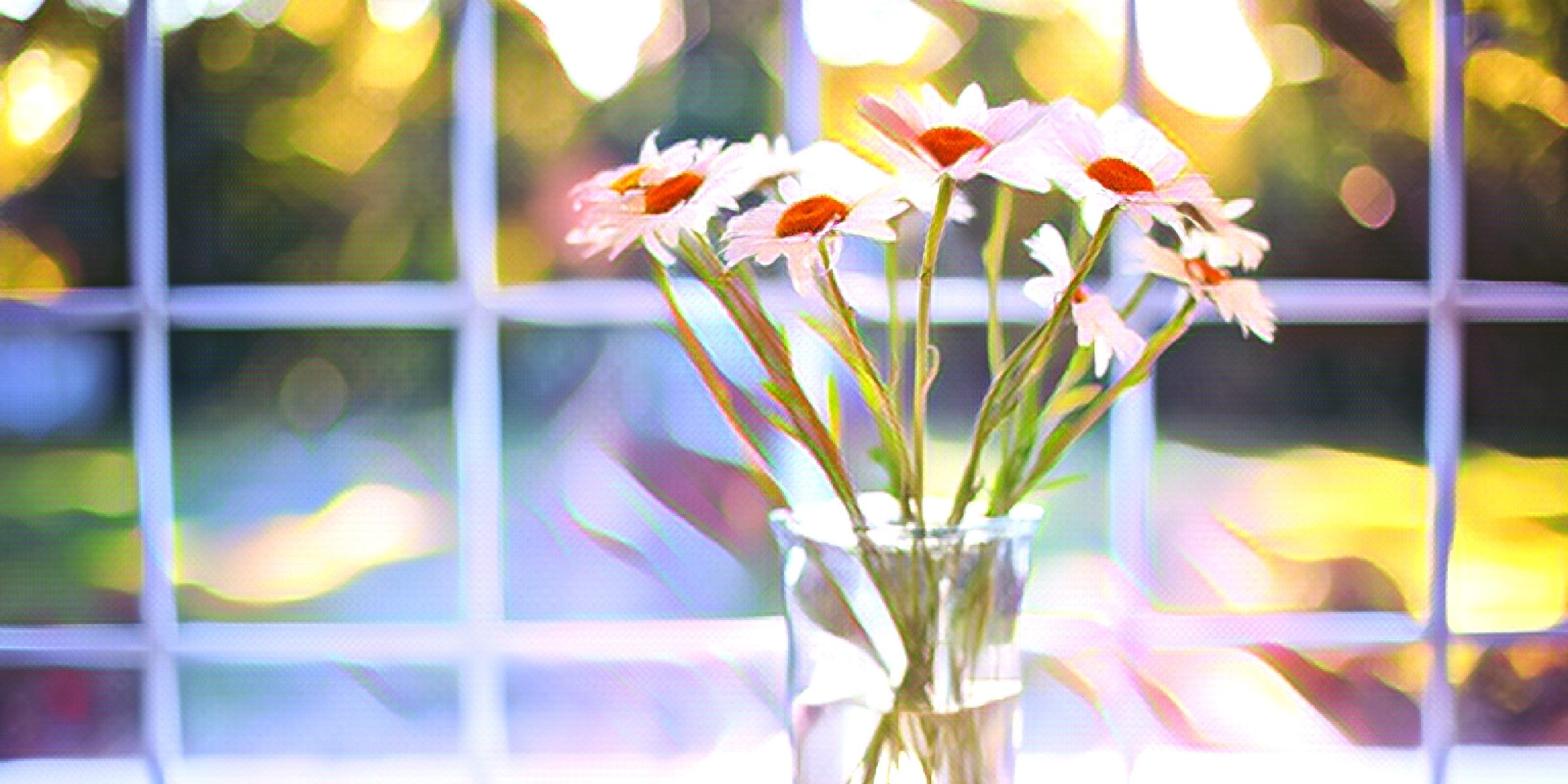 窓の近くに置かれた白い花