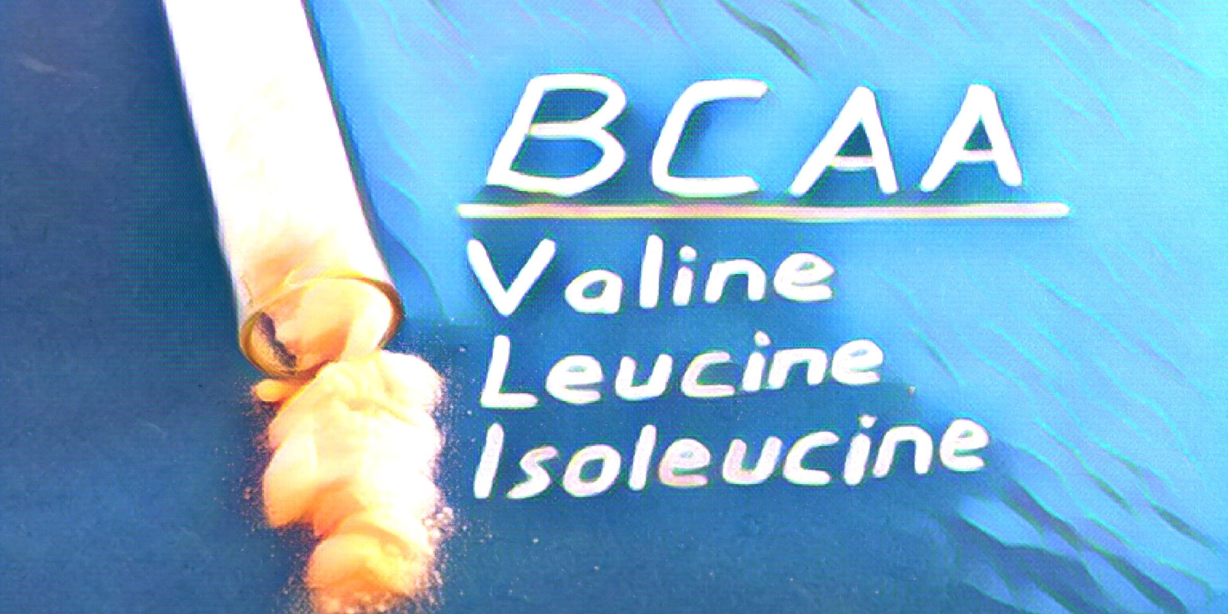 BCAA Valine Leucine Isoleucine